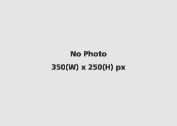 Cell phone GS505